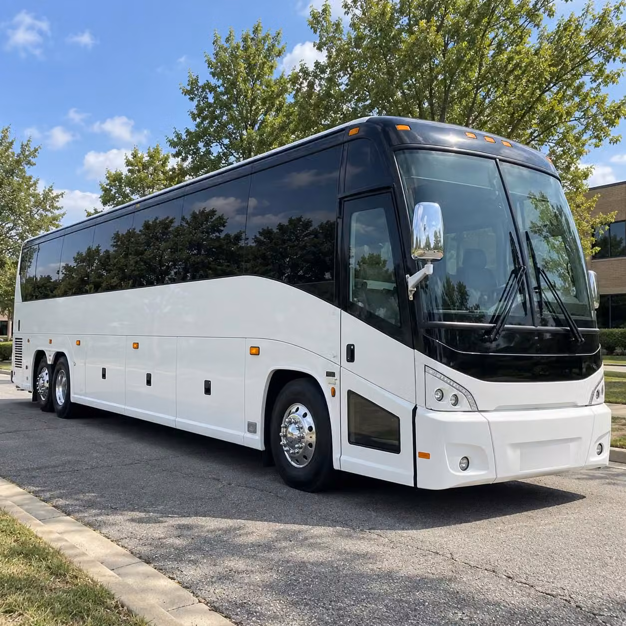 glendale field trip transportation to wildlife world zoo aquarium safari park